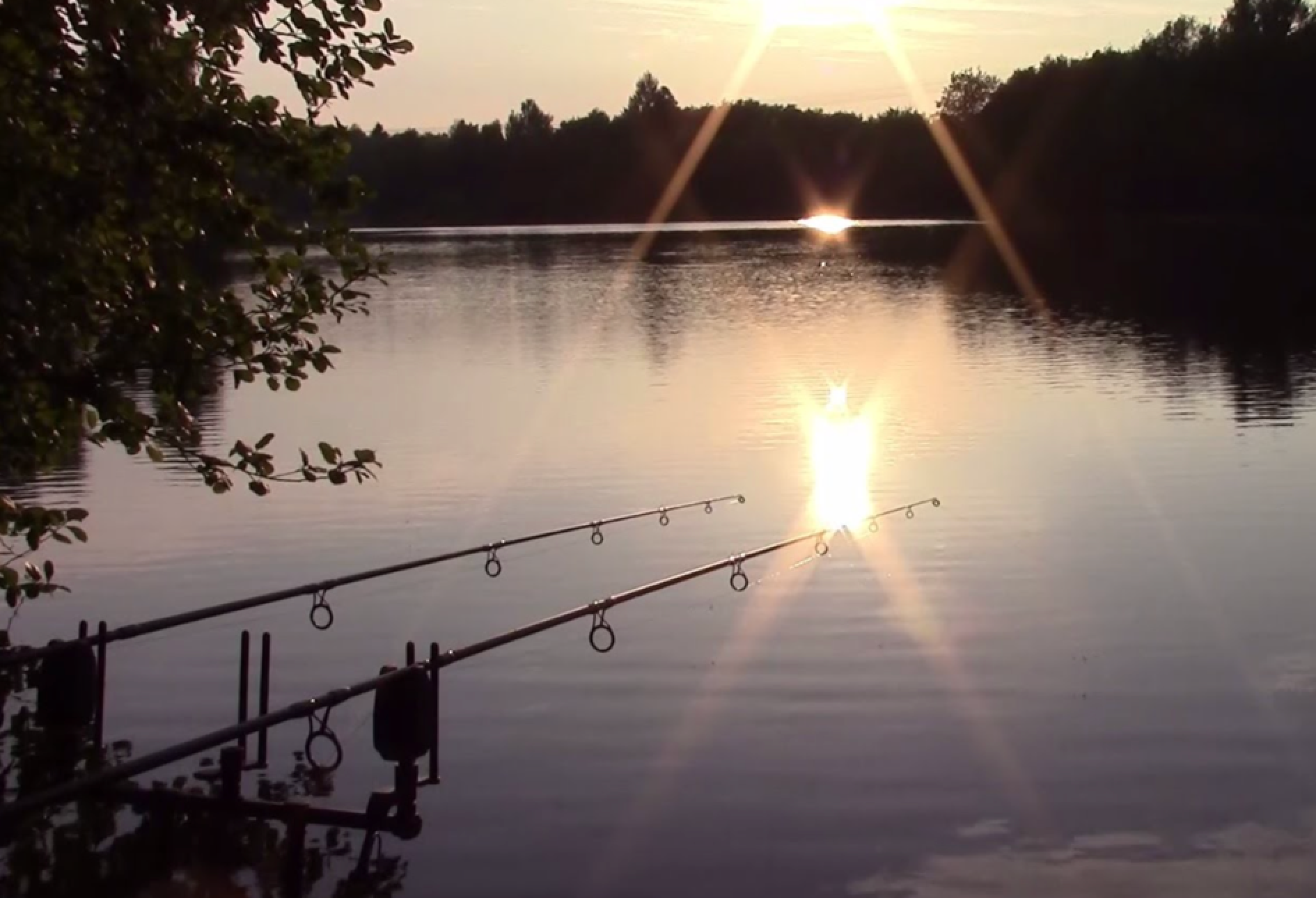 Der Kder muss dem Fisch schmecken. Nicht dem Angler. - writing factory